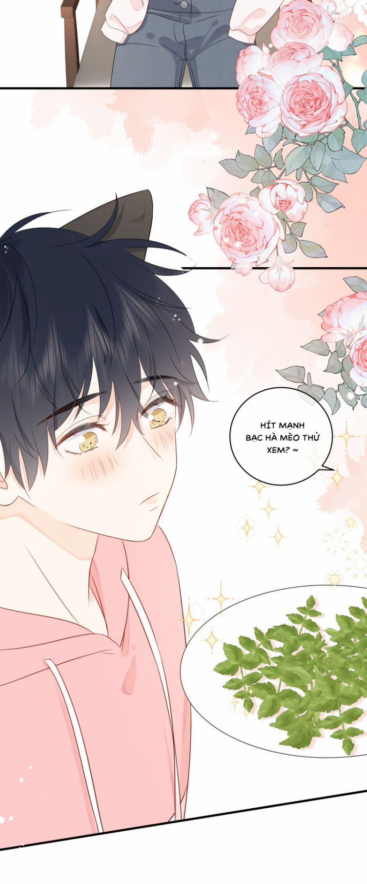 Dinh Dưỡng Quá Tốt 16 trang 8