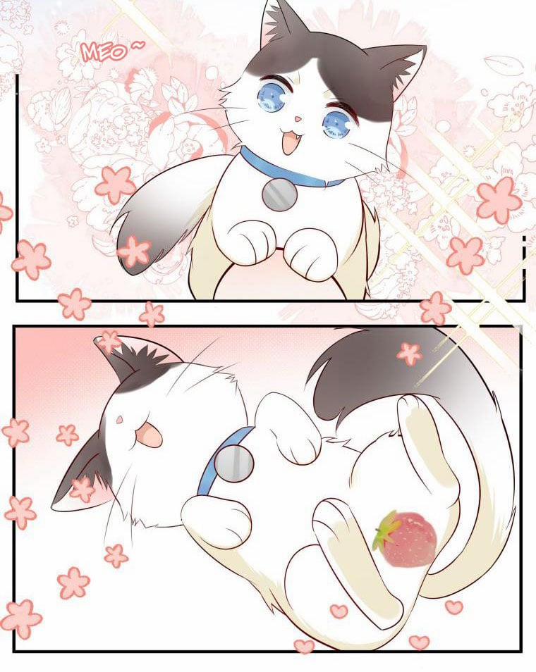 Dinh Dưỡng Quá Tốt 18 trang 49