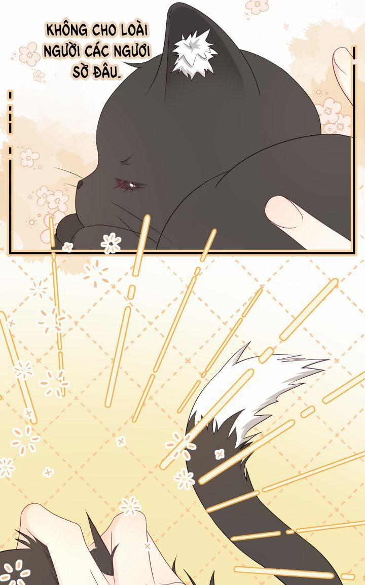 Dinh Dưỡng Quá Tốt 2 trang 51