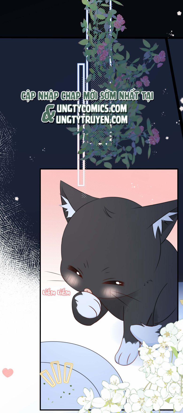 Dinh Dưỡng Quá Tốt 23 trang 27