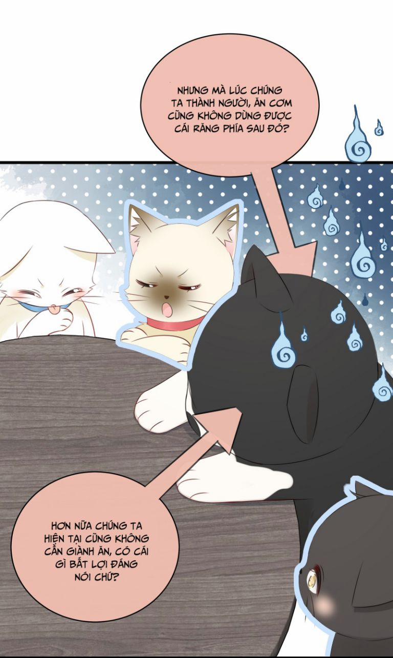 Dinh Dưỡng Quá Tốt 27 trang 10