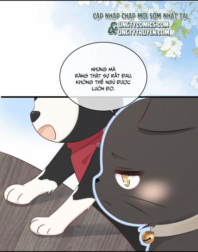 Dinh Dưỡng Quá Tốt 27 trang 11