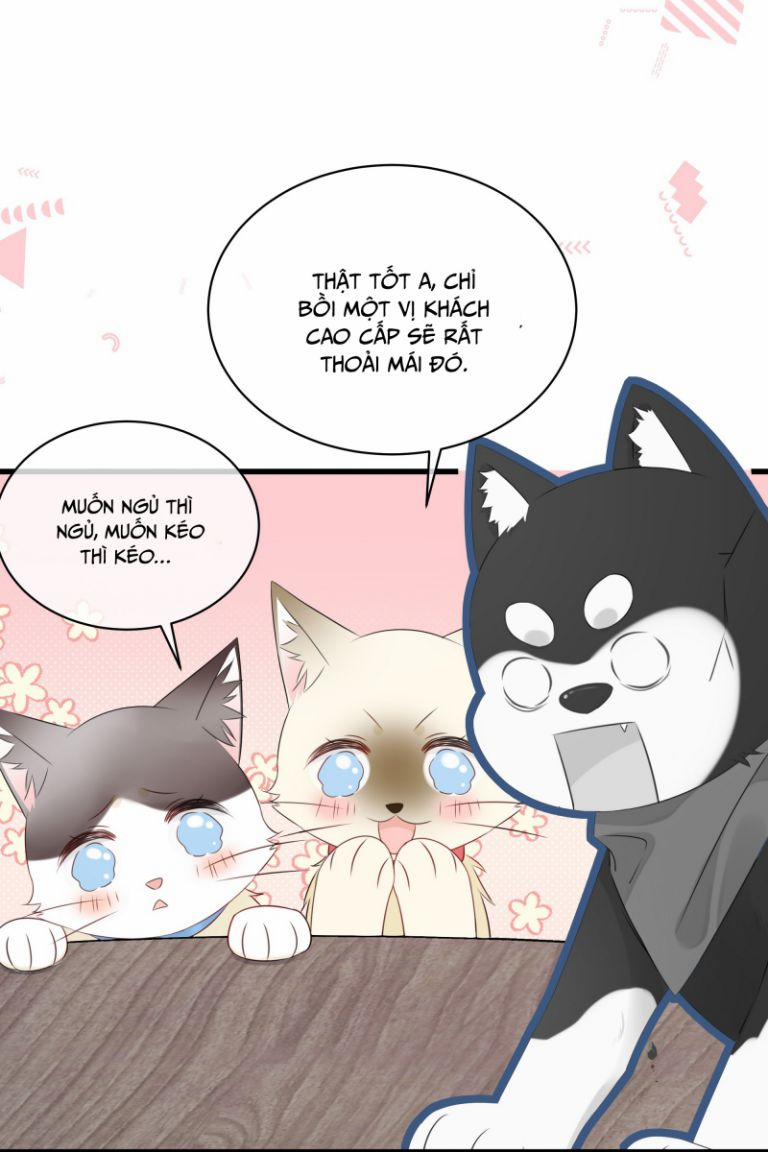 Dinh Dưỡng Quá Tốt 27 trang 18