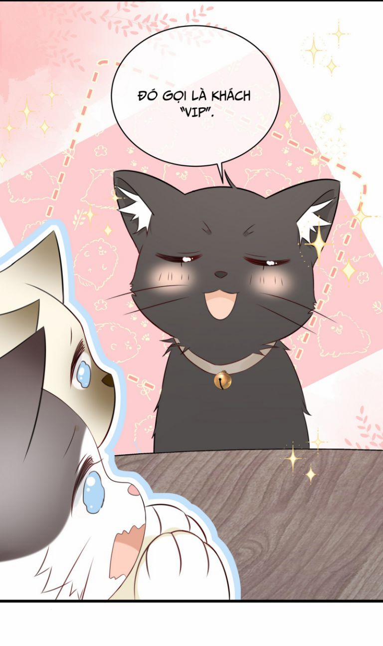 Dinh Dưỡng Quá Tốt 27 trang 19