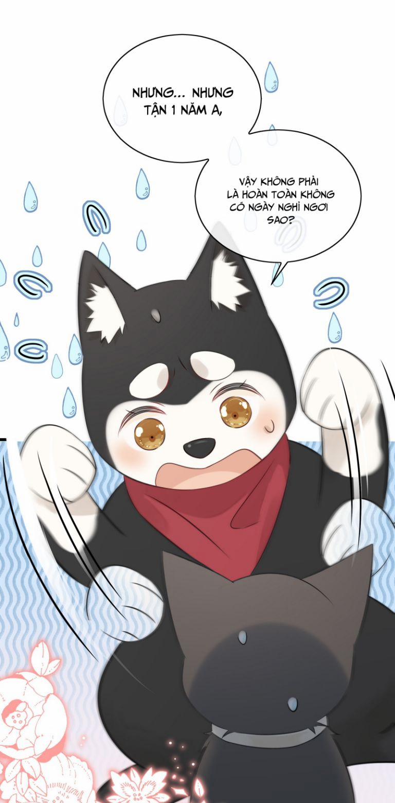 Dinh Dưỡng Quá Tốt 27 trang 20