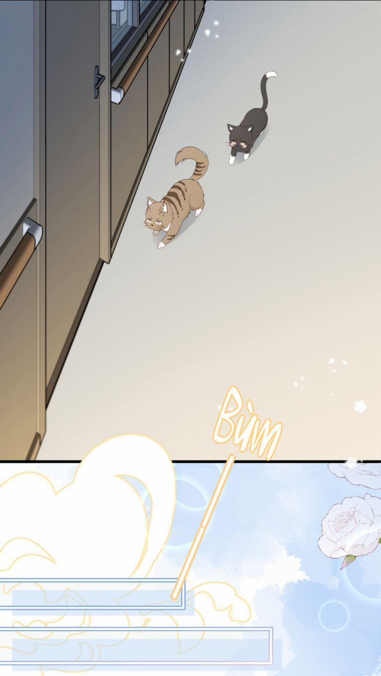 Dinh Dưỡng Quá Tốt 27 trang 28