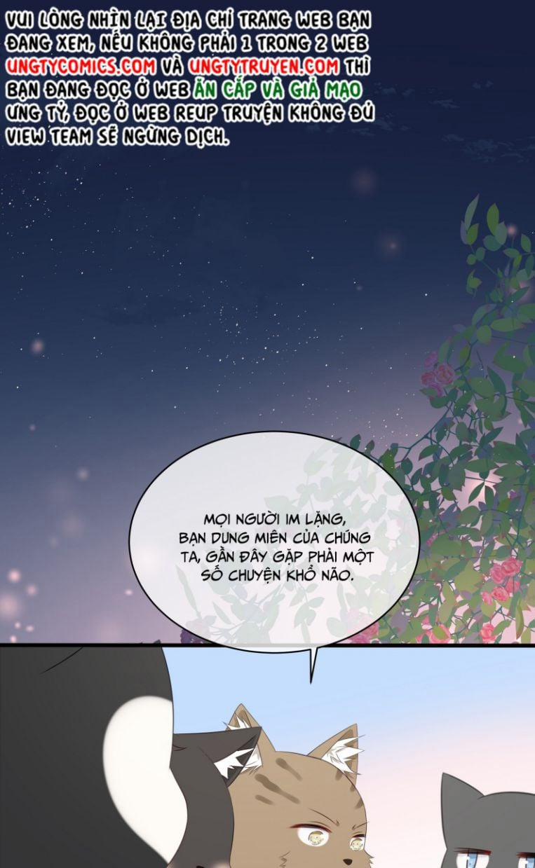 Dinh Dưỡng Quá Tốt 27 trang 6