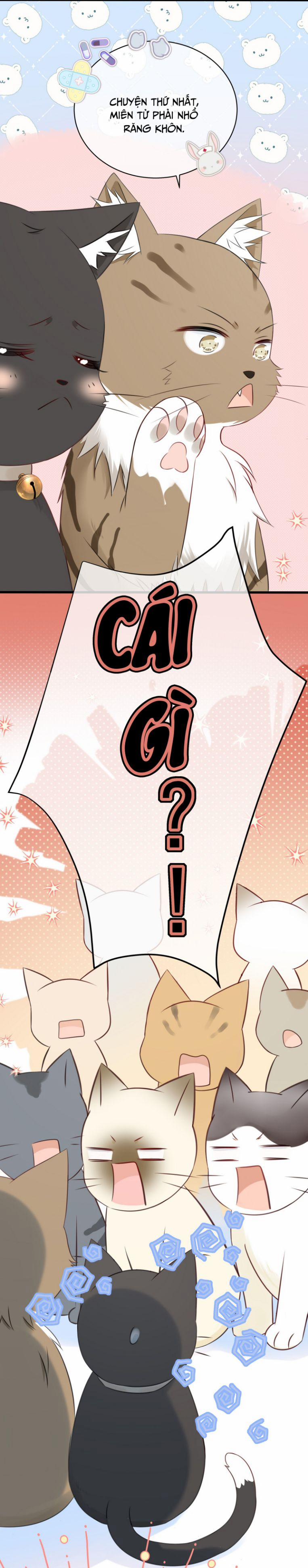 Dinh Dưỡng Quá Tốt 27 trang 8