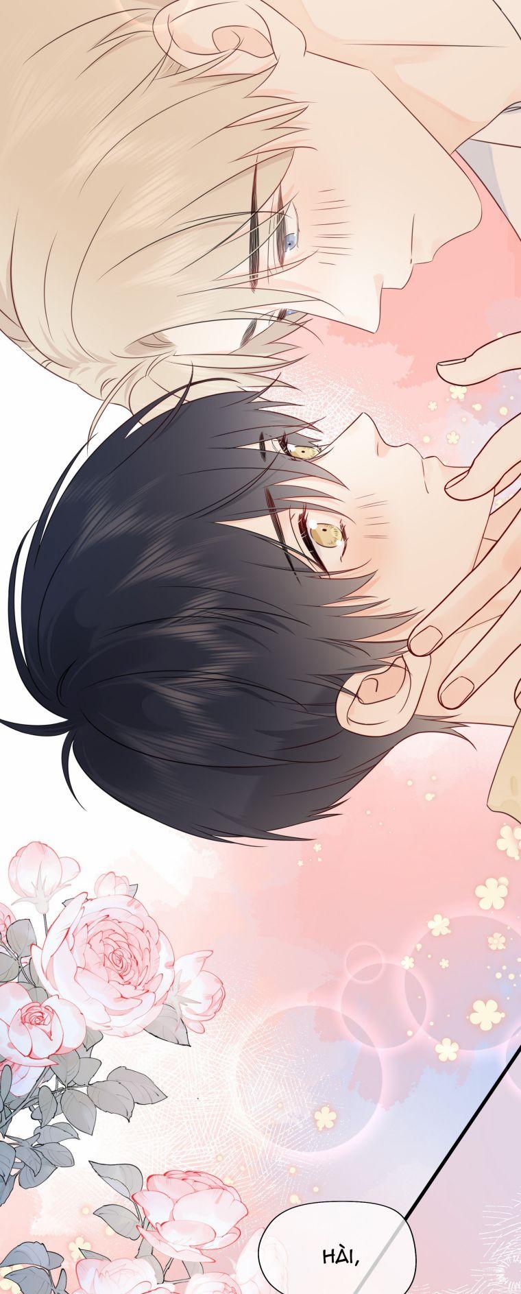 Dinh Dưỡng Quá Tốt 29 trang 32