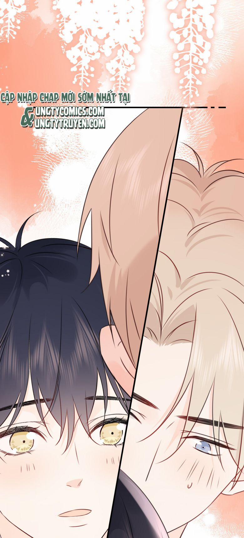 Dinh Dưỡng Quá Tốt 36 trang 11