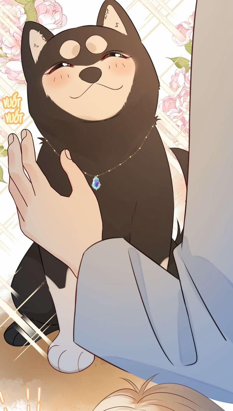 Dinh Dưỡng Quá Tốt 37 trang 34