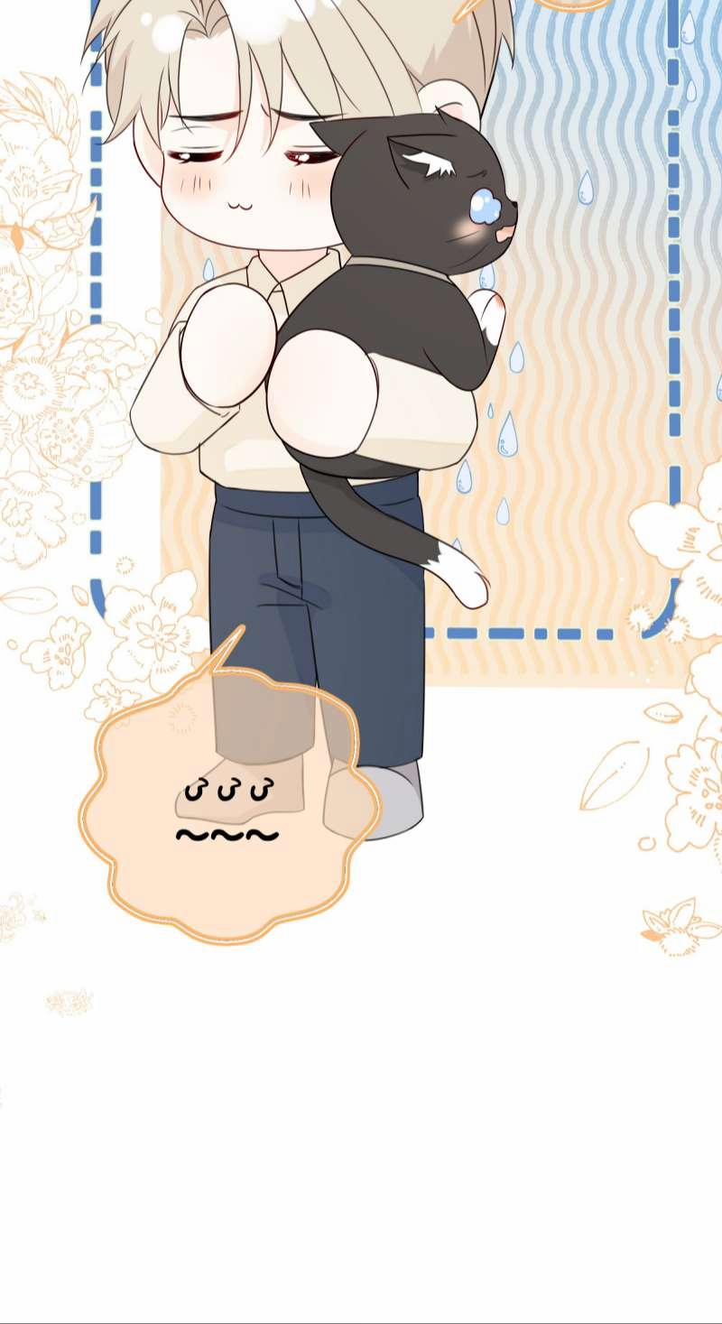 Dinh Dưỡng Quá Tốt 37 trang 43