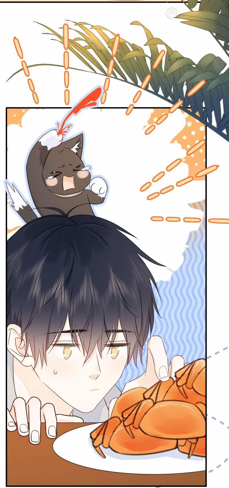 Dinh Dưỡng Quá Tốt 37 trang 6