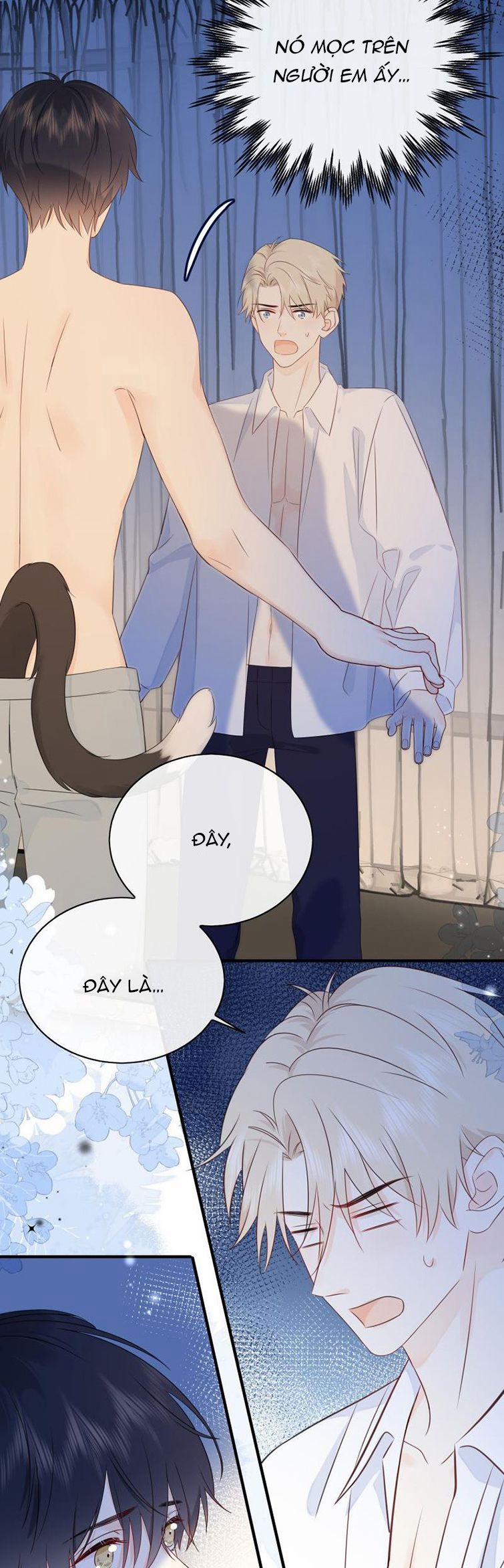 Dinh Dưỡng Quá Tốt 41 trang 19