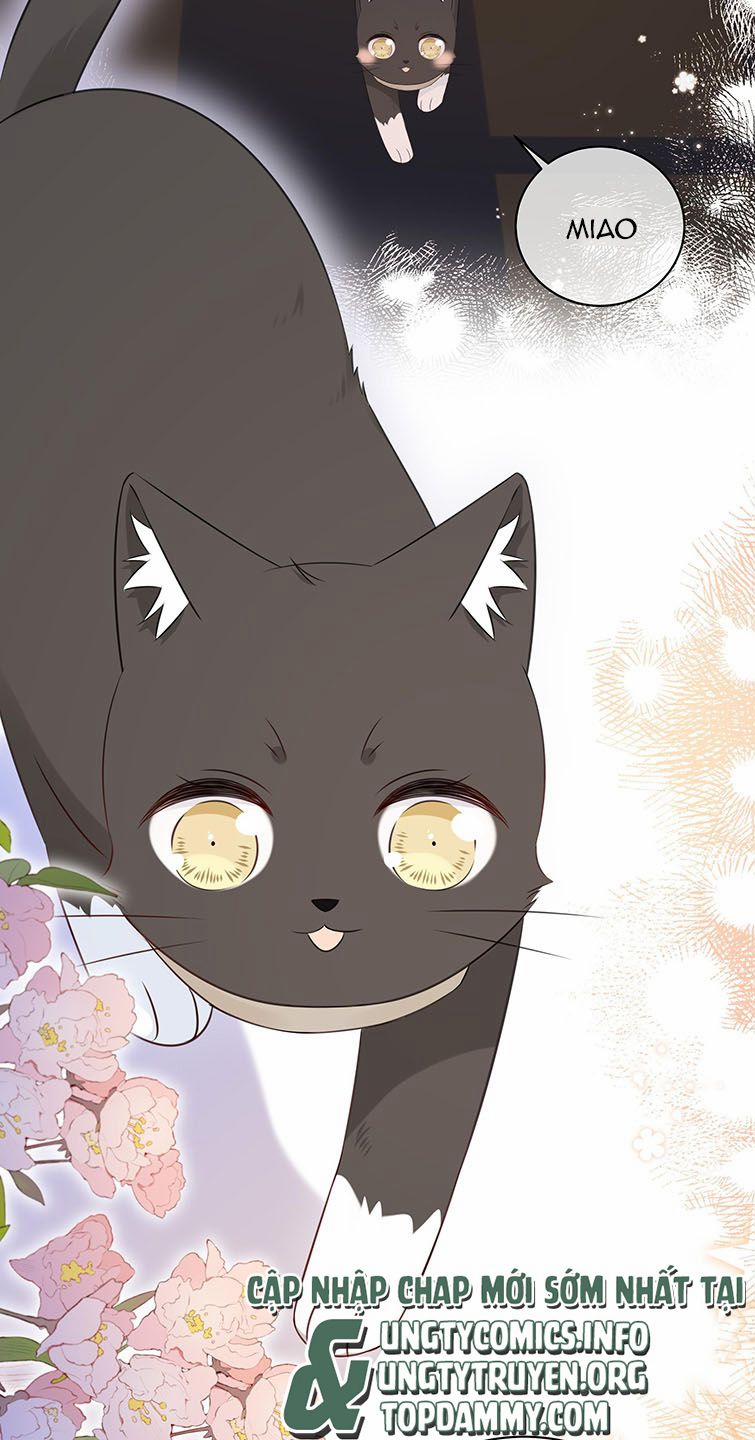 Dinh Dưỡng Quá Tốt 43 trang 36