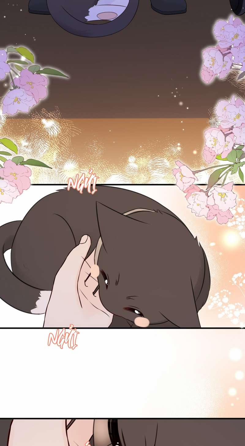 Dinh Dưỡng Quá Tốt 44 trang 4