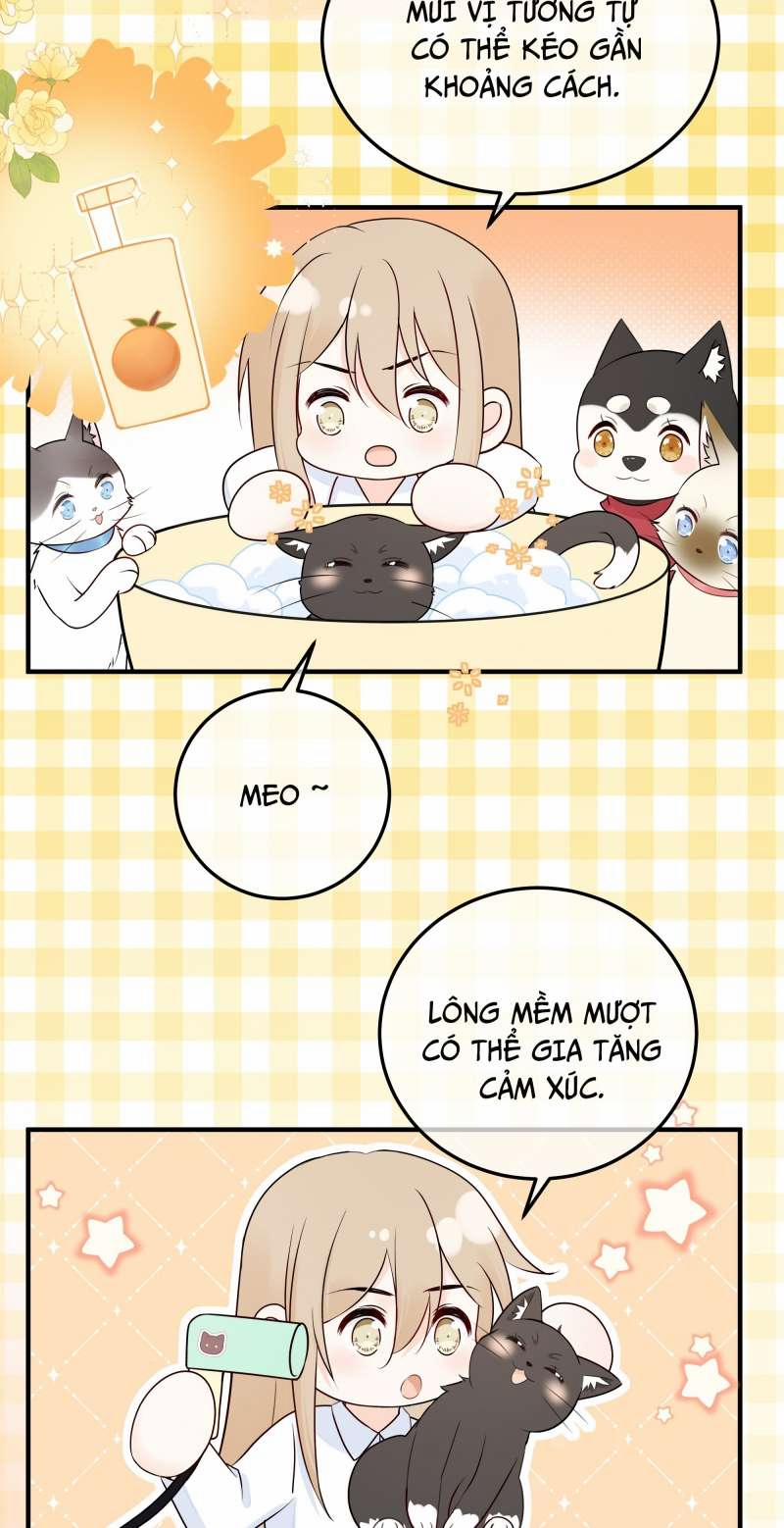 Dinh Dưỡng Quá Tốt 45 trang 41