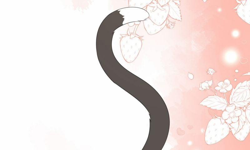 Dinh Dưỡng Quá Tốt 47 trang 29