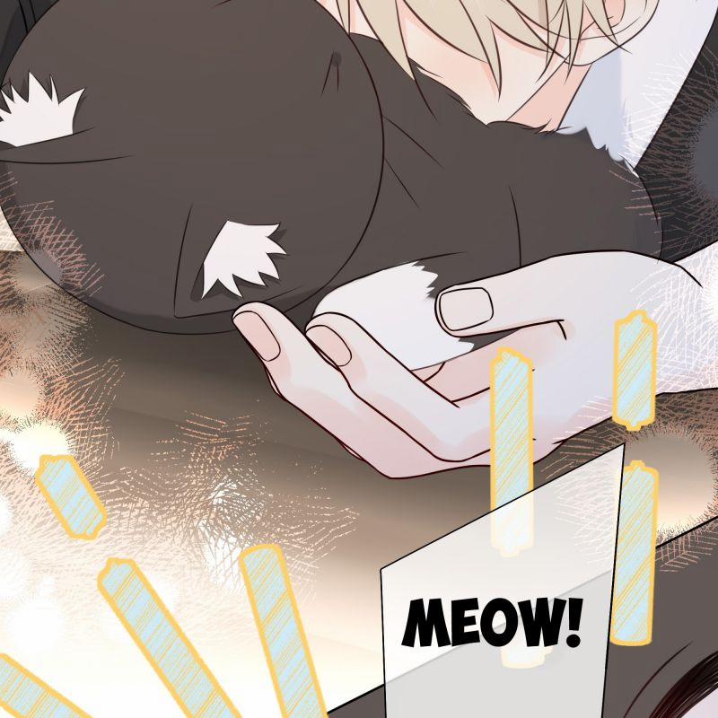 Dinh Dưỡng Quá Tốt 47 trang 63