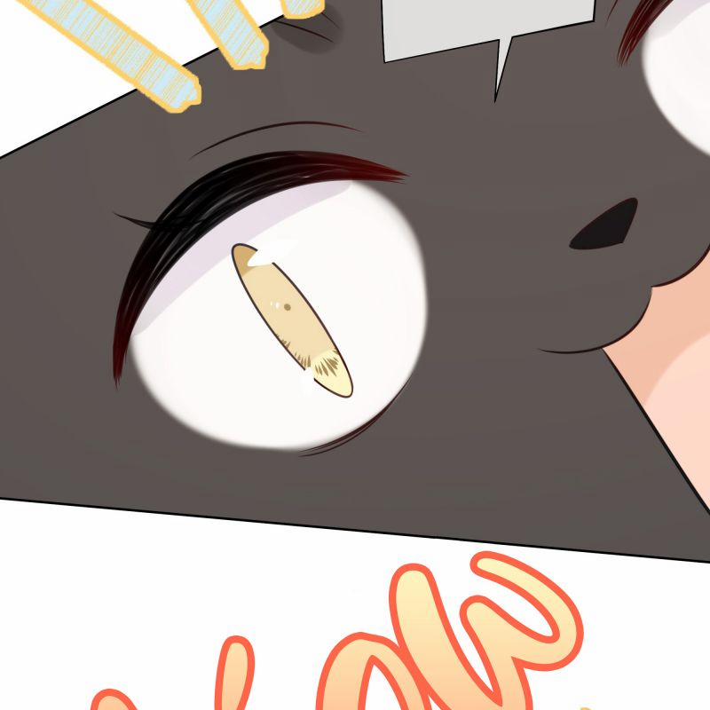 Dinh Dưỡng Quá Tốt 47 trang 64