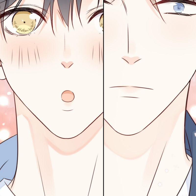 Dinh Dưỡng Quá Tốt 47 trang 81