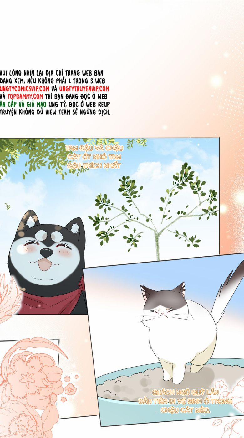 Dinh Dưỡng Quá Tốt 48 trang 18