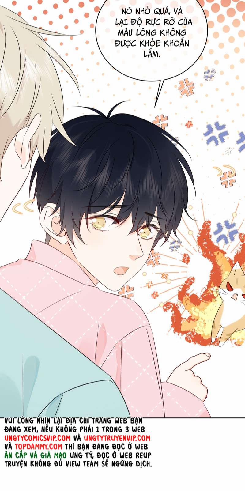 Dinh Dưỡng Quá Tốt 53 trang 26