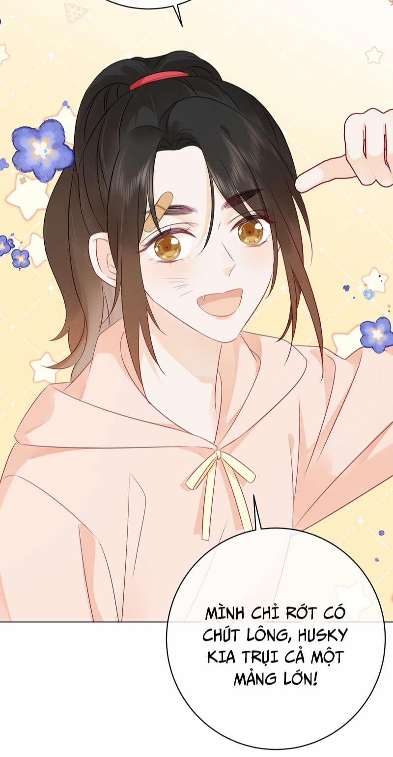 Dinh Dưỡng Quá Tốt 56 trang 13