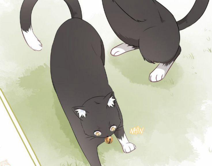 Dinh Dưỡng Quá Tốt 6 trang 41