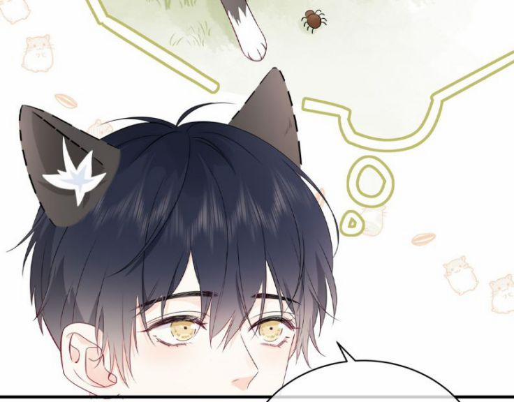 Dinh Dưỡng Quá Tốt 6 trang 42