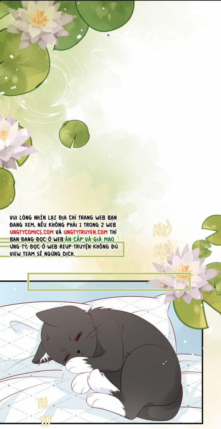 Dinh Dưỡng Quá Tốt 8 trang 15