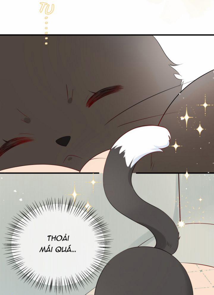 Dinh Dưỡng Quá Tốt 8 trang 16