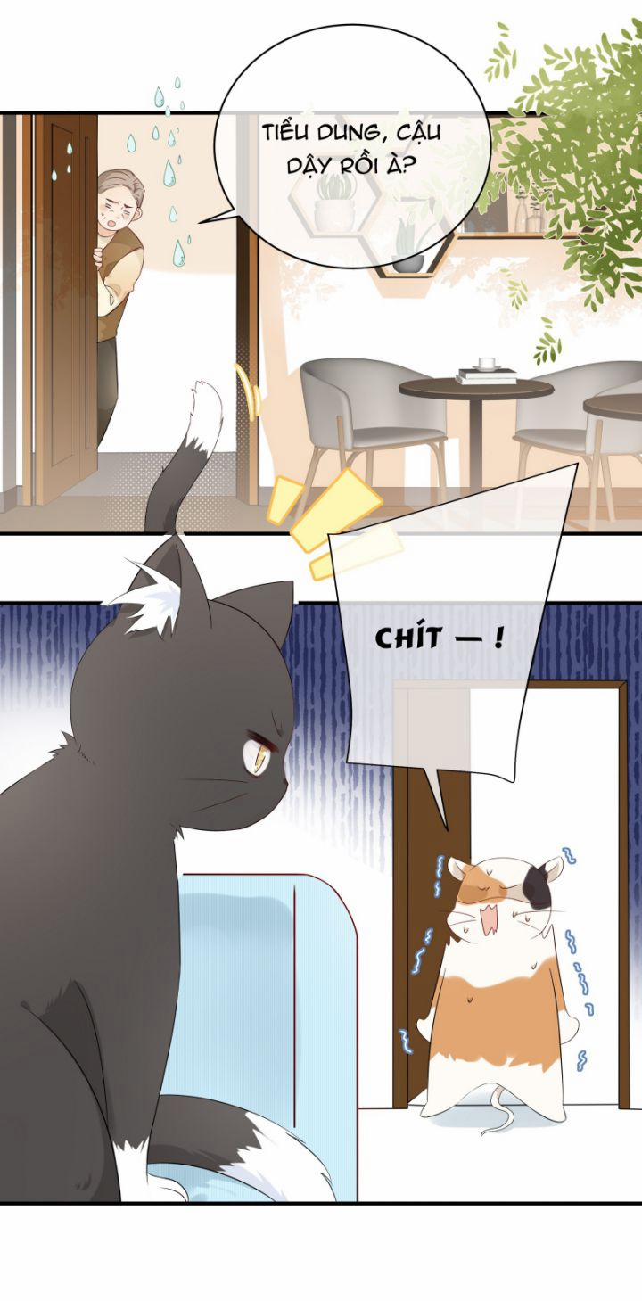 Dinh Dưỡng Quá Tốt 8 trang 18