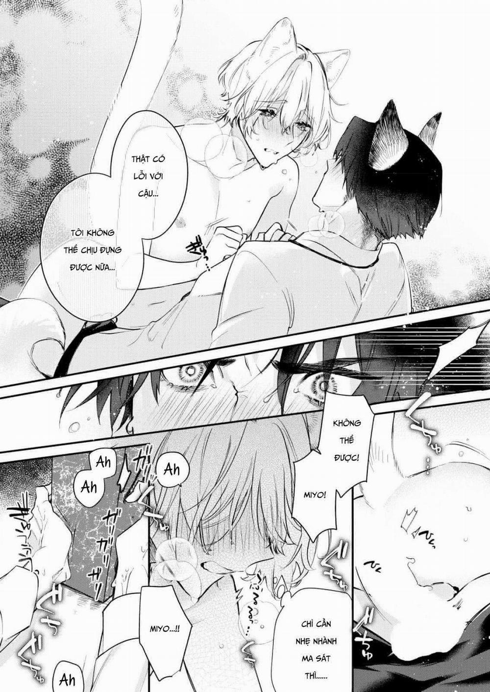 Định Mệnh Không Thể Tránh Khỏi 3 trang 2