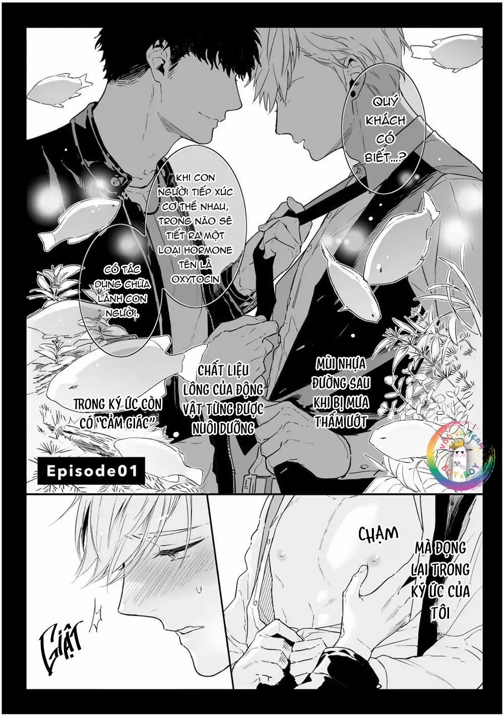 Định Nghĩa Yêu Của Riêng Tôi 1 trang 4