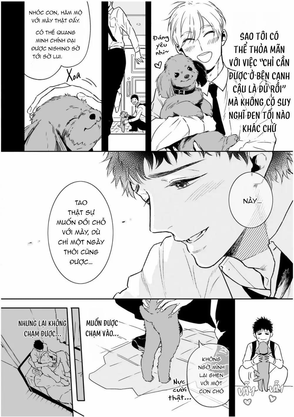 Định Nghĩa Yêu Của Riêng Tôi 3 trang 12