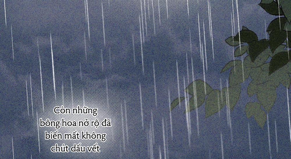 Định Rõ Mối Quan Hệ 50 trang 274