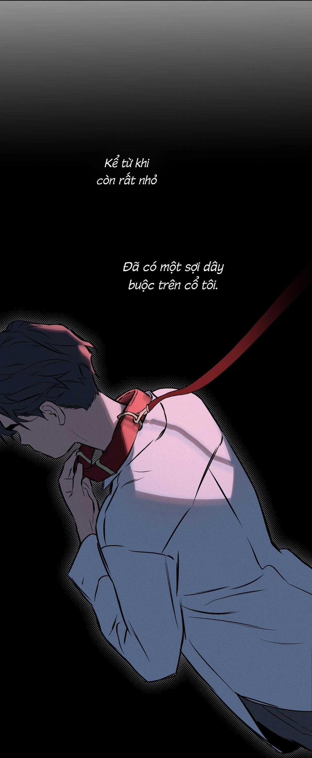 Định Tên Mối Quan Hệ 61 trang 40