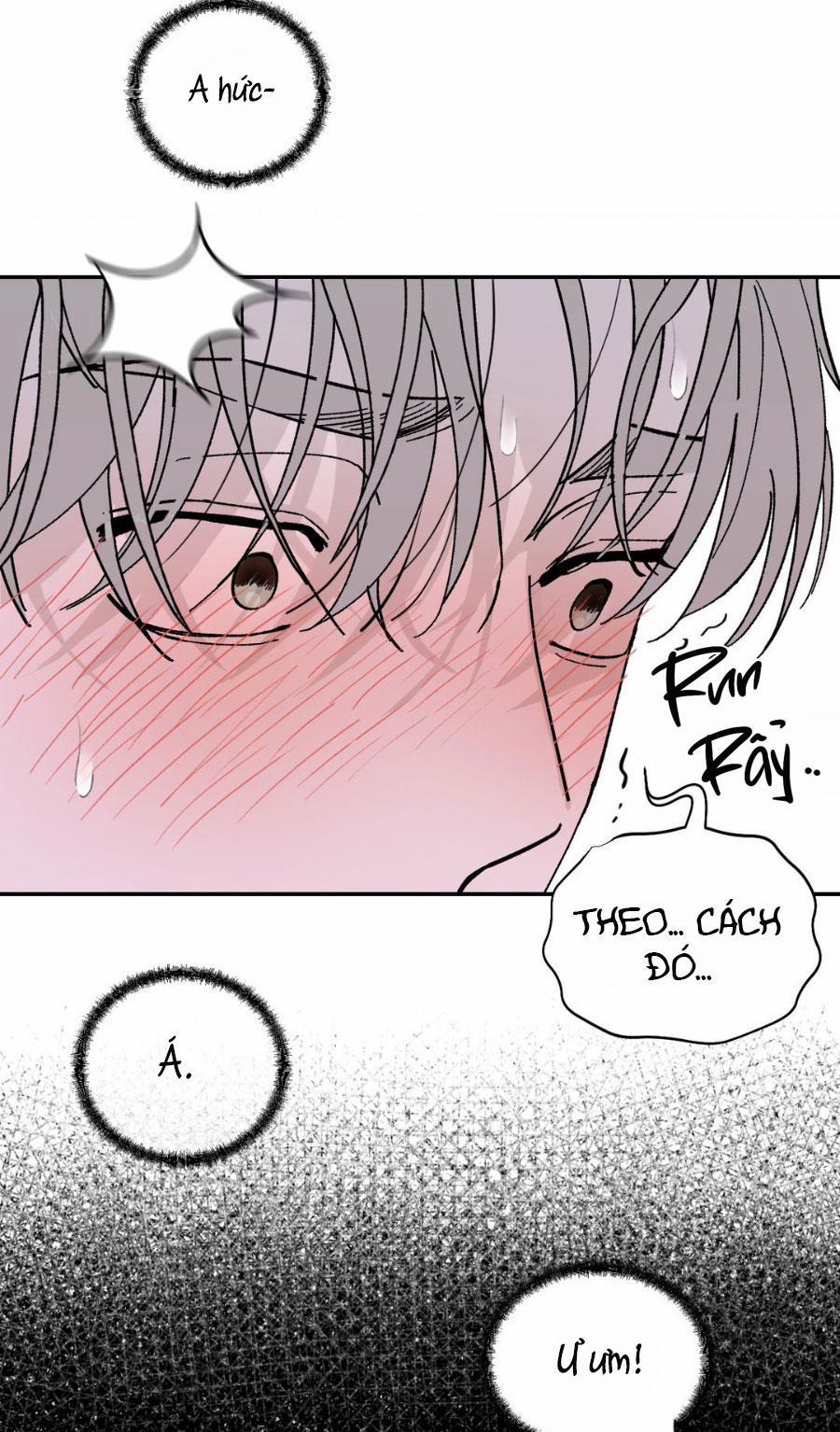 Dinh Thự 15 trang 23