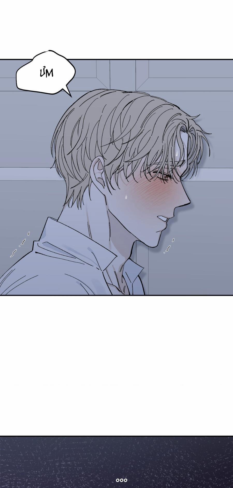 Dinh Thự 17 trang 17