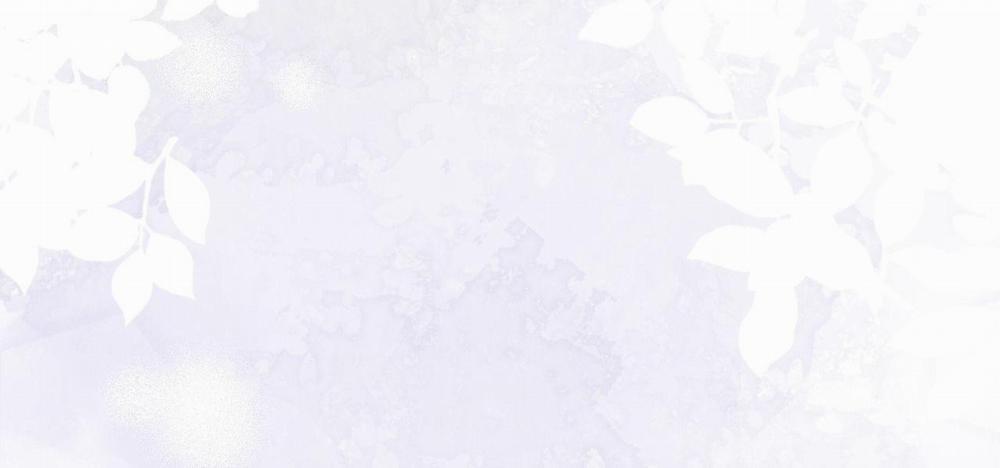 Dinh Thự 23 trang 100