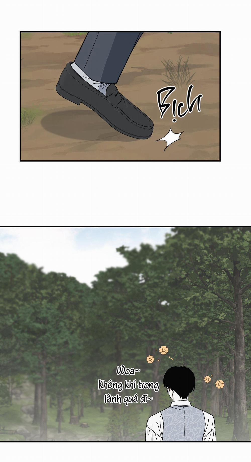 Dinh Thự 24 trang 4