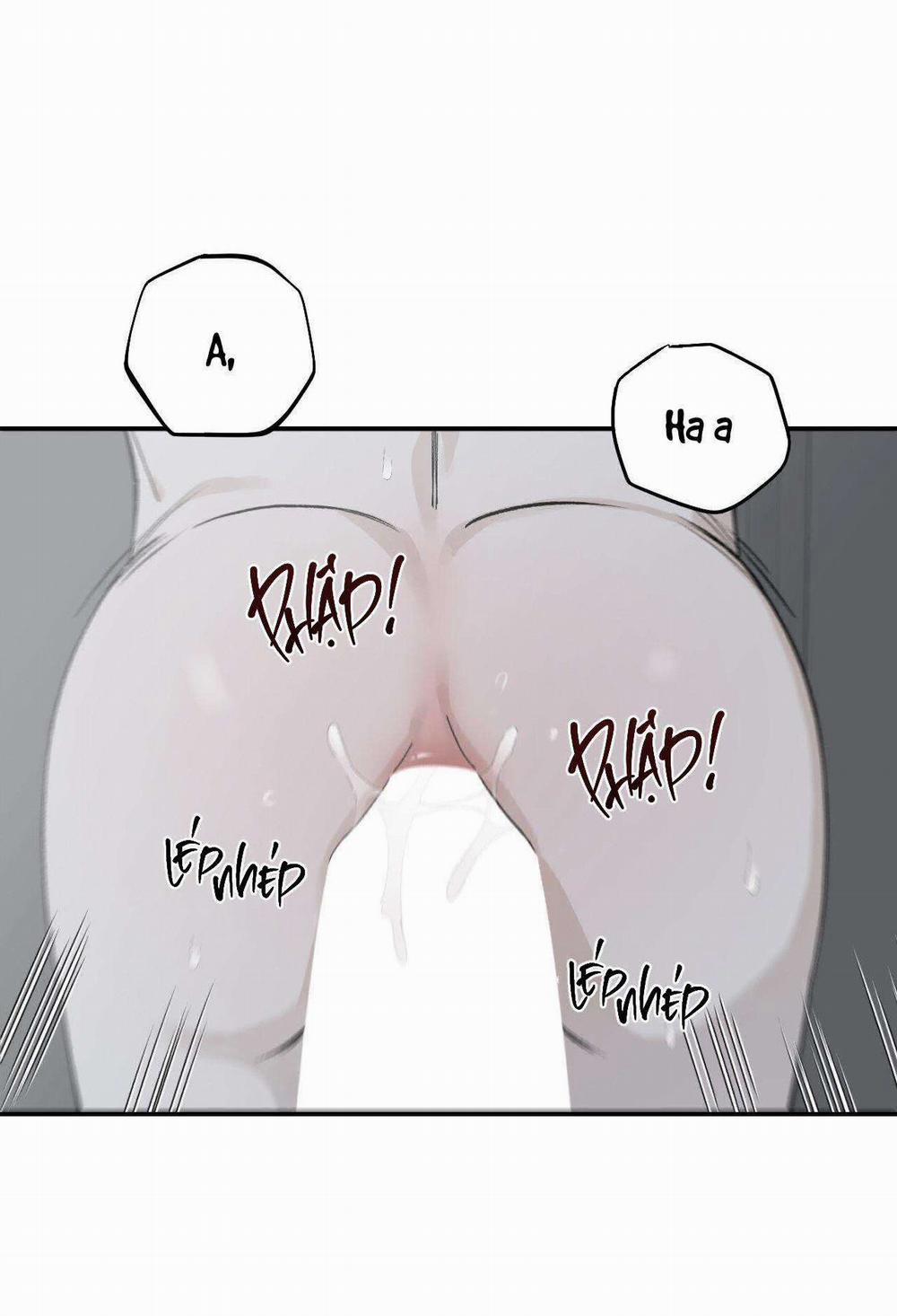 Dinh Thự 28 trang 3