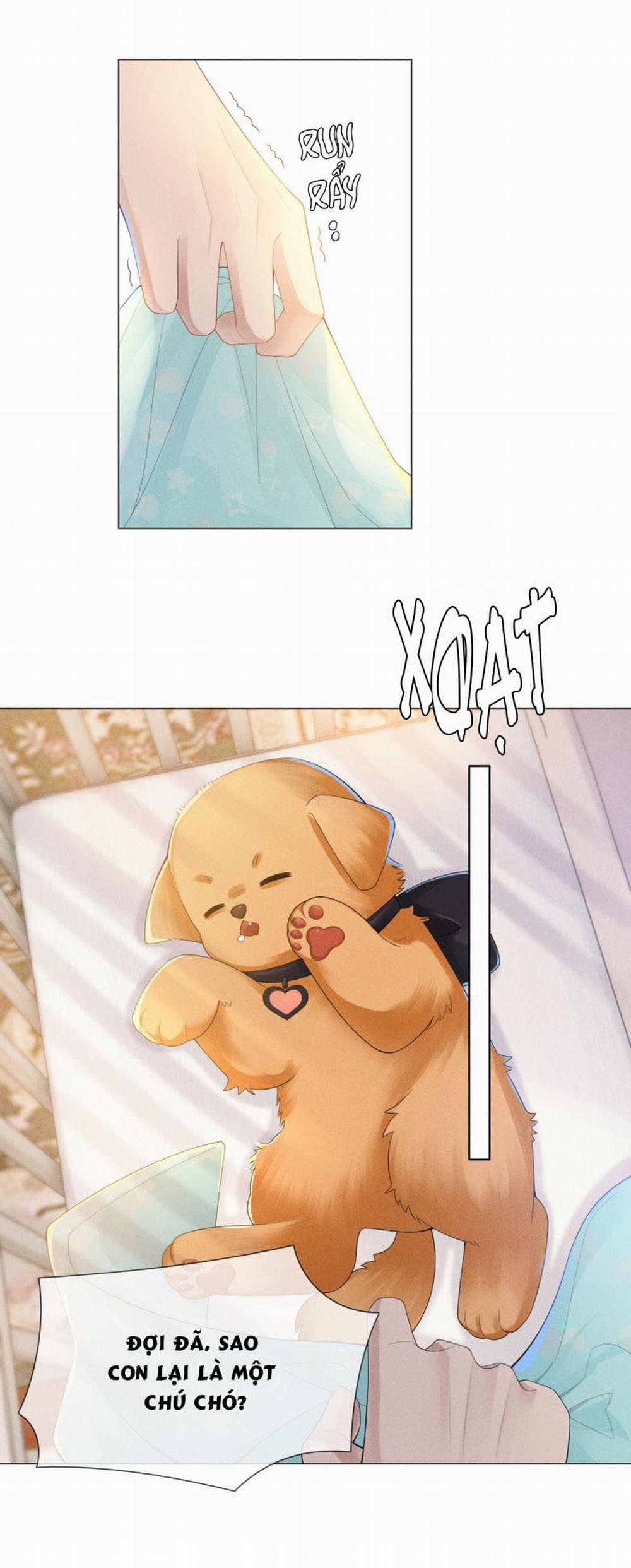 Dior Tiên Sinh LK 44 trang 19