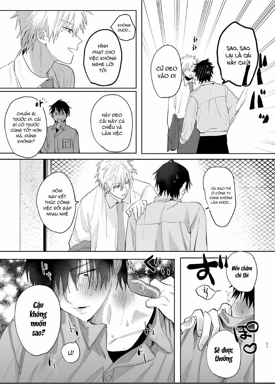 Đồ Chơi Tình Thú 7 trang 19