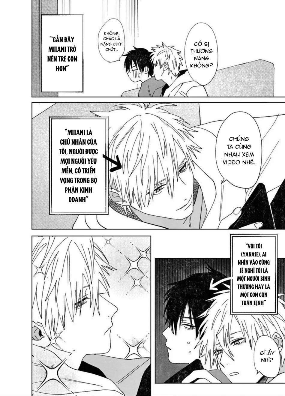 Đồ Chơi Tình Thú 8 trang 2