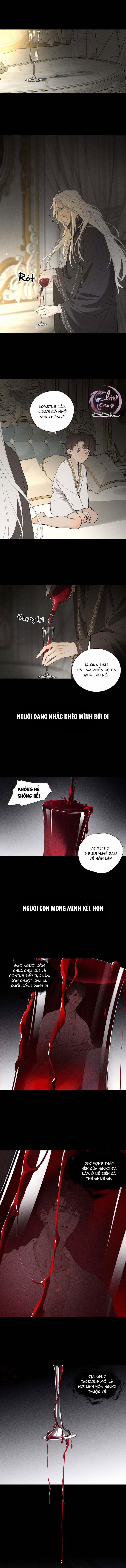 Đồ Chơi 7 trang 0