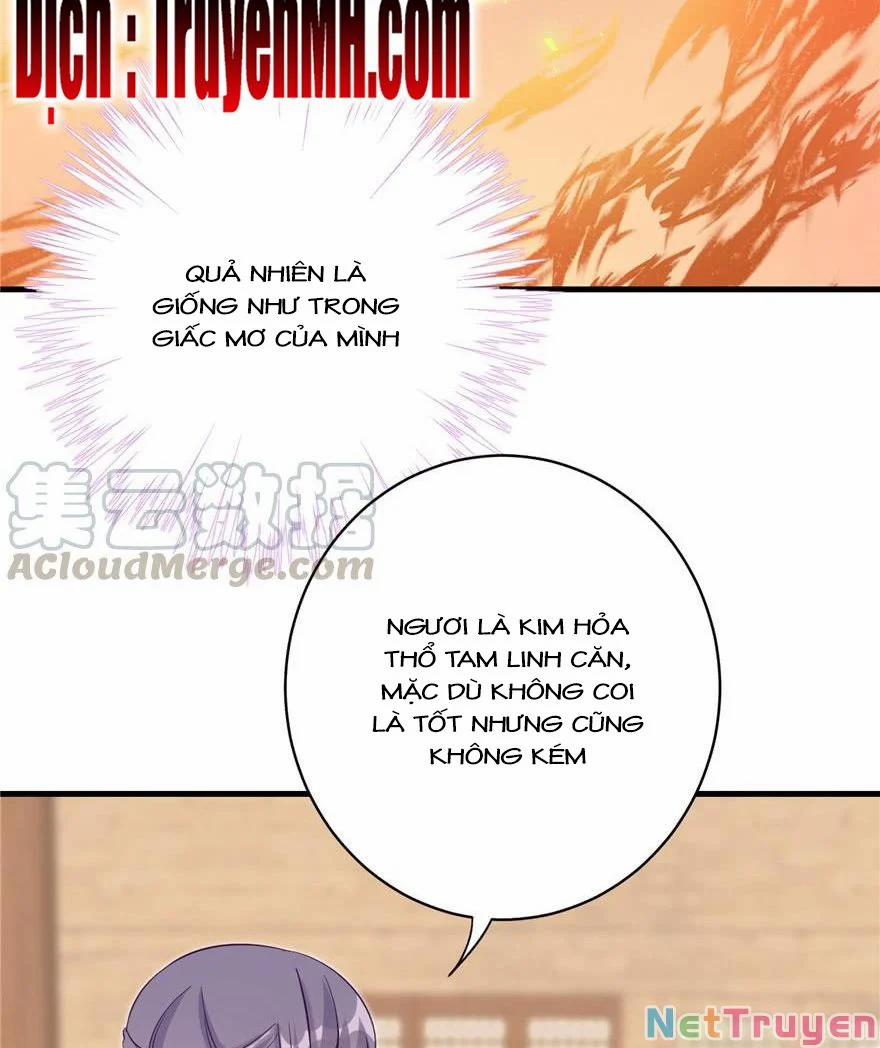 Đồ Đệ Nhà Ta Lại Quải Rồi 196 trang 12