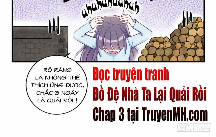 Đồ Đệ Nhà Ta Lại Quải Rồi 2 trang 39