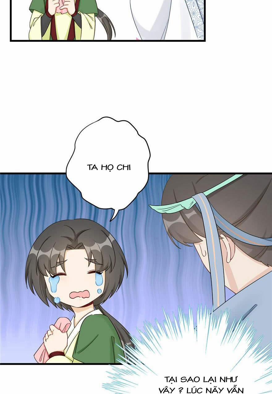 Đồ Đệ Nhà Ta Lại Quải Rồi 201 trang 14